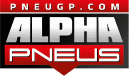 logo-www.pneugp.com